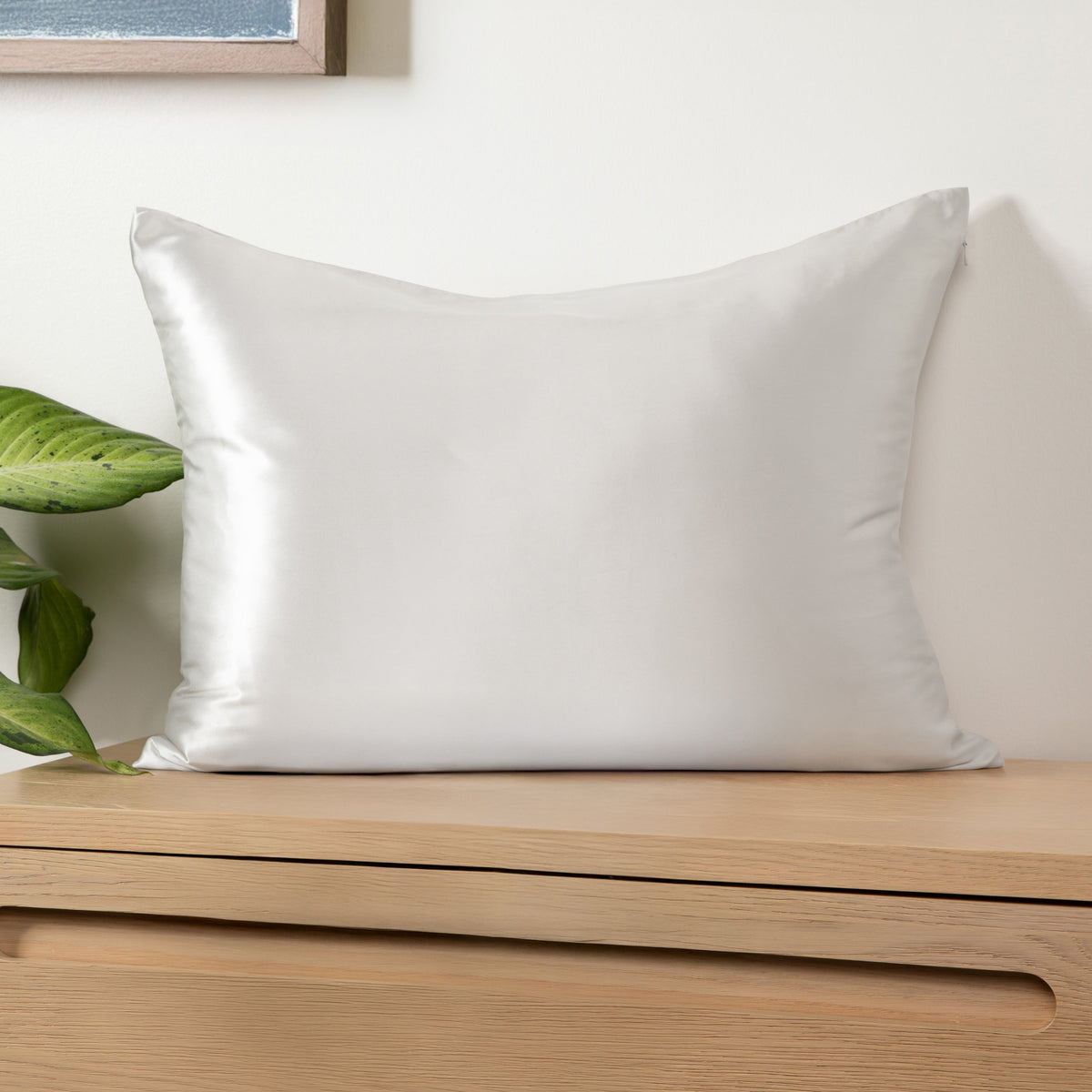 Mulberry Silk Pillowcases